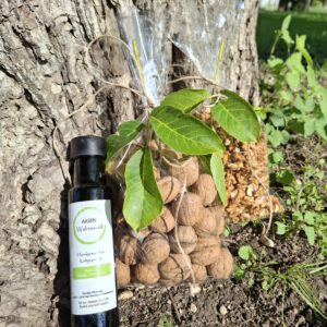 Geschenkset "Walnuss-Genuss"