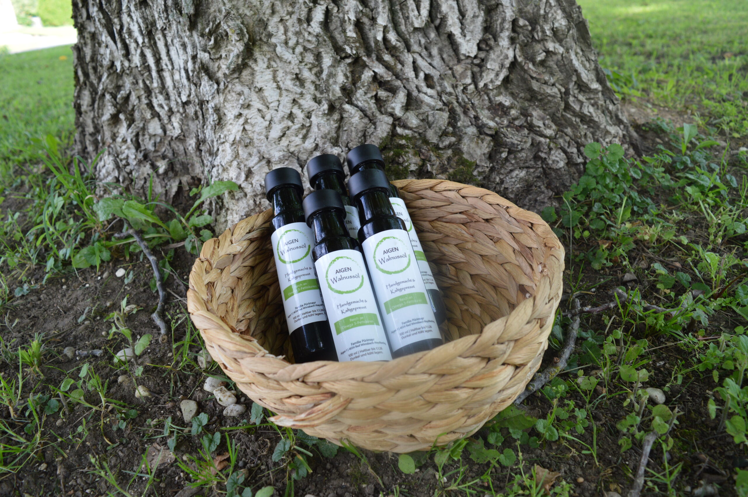 Walnussöl 6-Pack